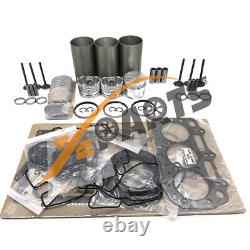 403D-11 Overhaul Rebuild Kit For Perkins Engine