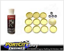 Engine Re Ring Rebuild Kit Holden V8 308 Red Kingswood HT HG HQ HJ HX HZ