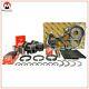 Engine Rebuild Kit Toyota 1kz-t 1kz-te For Lc Prado Hilux Surf Hiace 3.0l 95-03