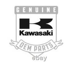 Kawasaki Mule Engine Rebuild Kit with Bearing Oil Seals Standard Pistons and Rings
