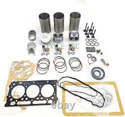 Overhaul Rebuild Kit For Kubota D902 Engine RTV900W9 RTV900 Utility Vehicle