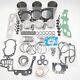 Overhaul Rebuild Kit Std For Chery Sqr372 800cc Engine