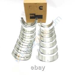 Kit de reconstruction authentique / Kit de révision pour Cummins 6bt 5.9L 12v - Piston/segment/joint