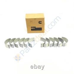 Kit de reconstruction authentique / Kit de révision pour Cummins 6bt 5.9L 12v - Piston/segment/joint